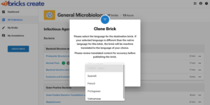 Image of how to clone a brick in a new language using Bricks Create Translate