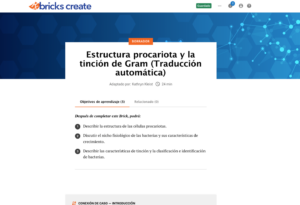 Image of how to clone a brick in a new language using Bricks Create Translate